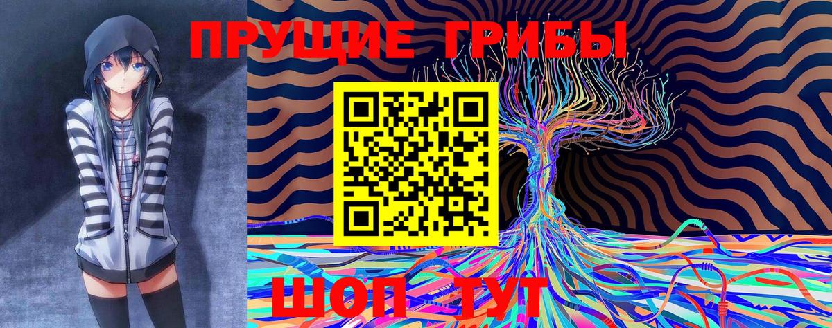 Галлюциногенные грибы Psilocybe Минеральные Воды